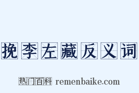 挽李左藏反义词是什么意思的图片